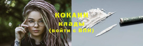 крисы Зерноград
