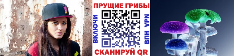 сколько стоит  Иннополис  Галлюциногенные грибы мицелий 
