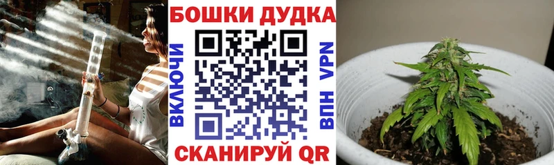магазин продажи   Иннополис  kraken как зайти  Каннабис Amnesia 